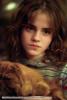 Hermione with Crookshanks