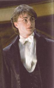 Harry in dress robes